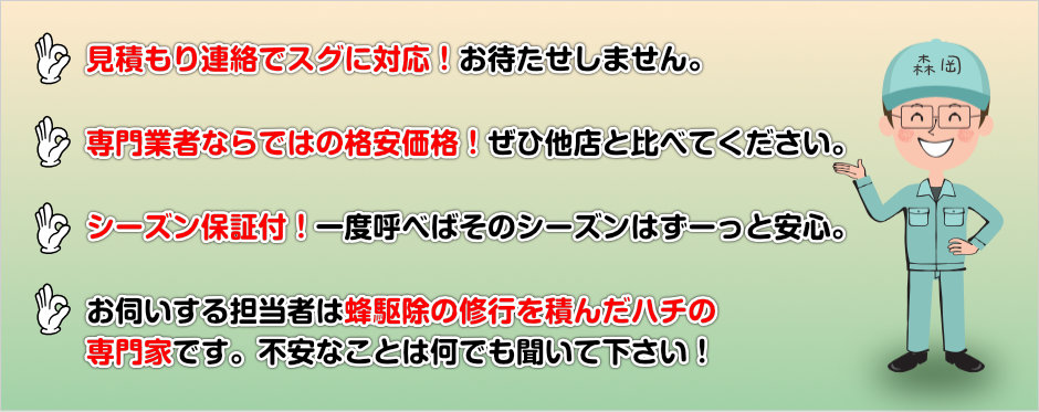 見積もり連絡でスグに対応！ お待たせしません。  専門業者ならではの格安価格！ ぜひ他店と比べてください。  シーズン保証付！一度呼べば そのシーズンはずーっと安心。  ハチ一筋４０年。 日本最大級の累積10万件の対応実績。  お伺いする担当者は坂井養蜂場で 修行を積んだハチの専門家です。 不安なことは何でも聞いて下さい！