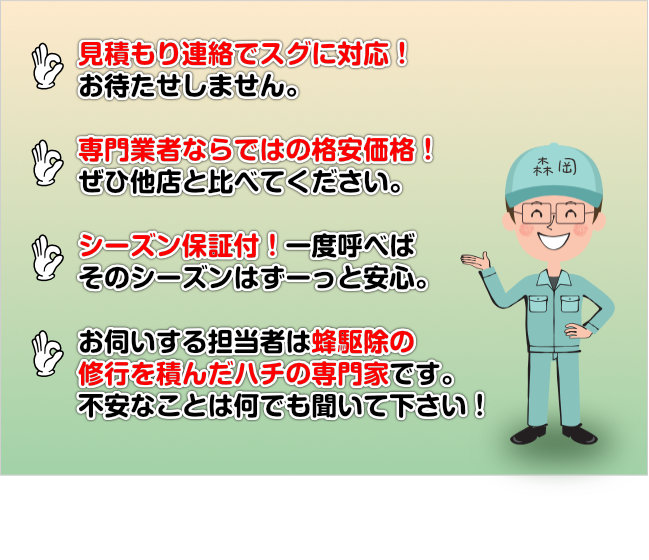 見積もり連絡でスグに対応！ お待たせしません。  専門業者ならではの格安価格！ ぜひ他店と比べてください。  シーズン保証付！一度呼べば そのシーズンはずーっと安心。  ハチ一筋４０年。 日本最大級の累積10万件の対応実績。  お伺いする担当者は坂井養蜂場で 修行を積んだハチの専門家です。 不安なことは何でも聞いて下さい！