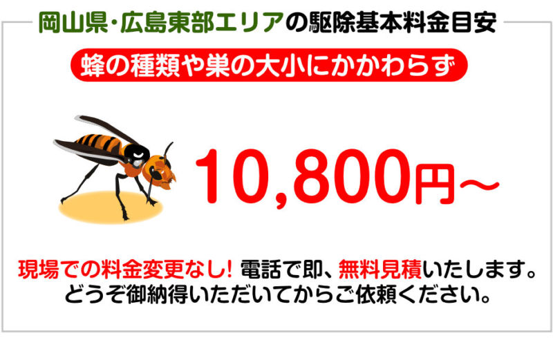 岡山県エリアの駆除基本料金目安。現場での料金変更なし! 電話で即、無料見積いたします。蜂の種類や巣の大小にかかわらずの料金です。見積無料！どうぞ御納得いただいてからご依頼ください。 